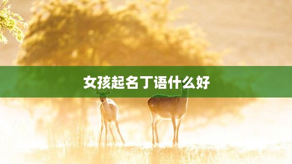2女孩起名丁語什么好