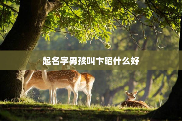 2起名字男孩叫卞昭什么好