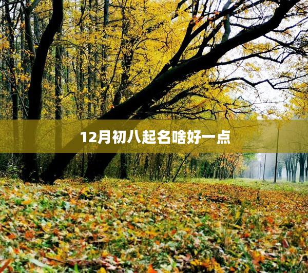12月初八起名啥好一點(diǎn)