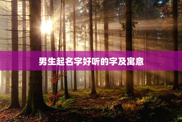 2男生起名字好聽的字及寓意