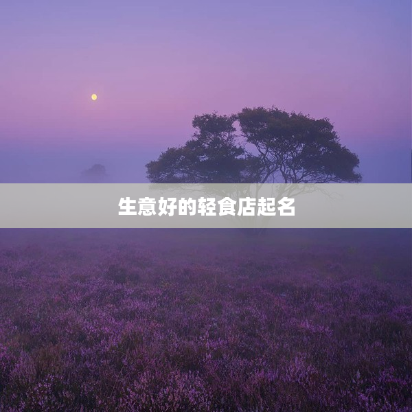 2生意好的輕食店起名