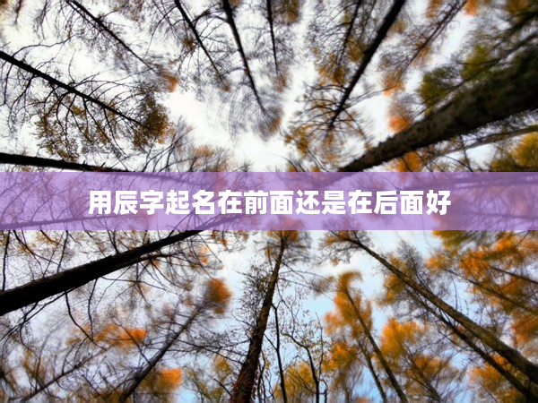 2用辰字起名在前面還是在后面好