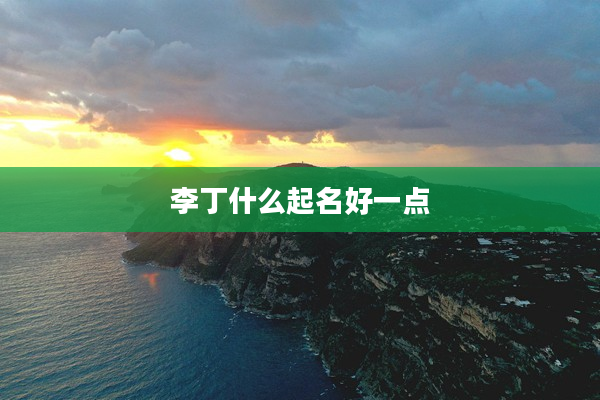 2李丁什么起名好一點