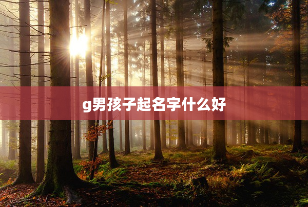 2g男孩子起名字什么好