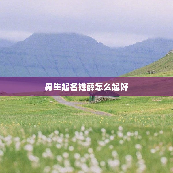 2男生起名姓薛怎么起好