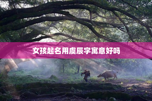 2女孩起名用虞辰字寓意好嗎