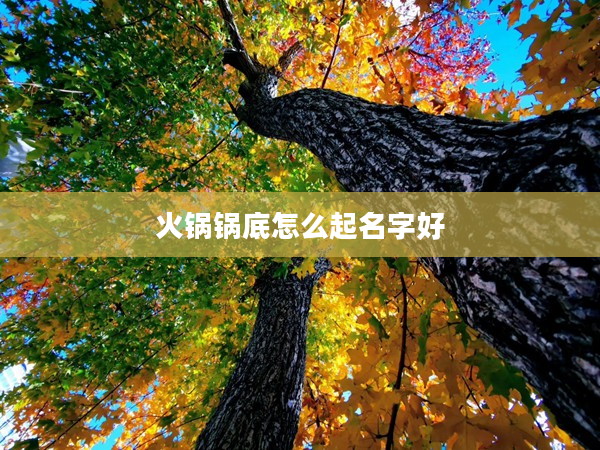 2火鍋鍋底怎么起名字好