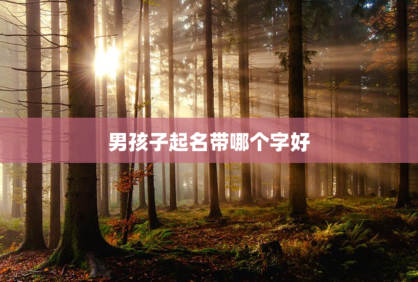 2男孩子起名帶哪個字好