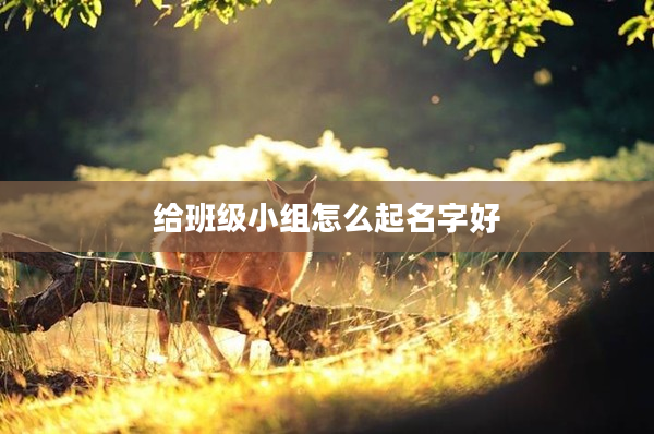 2給班級小組怎么起名字好