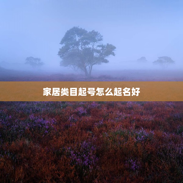 2家居類目起號怎么起名好