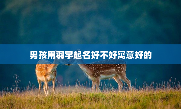 2男孩用羽字起名好不好寓意好的