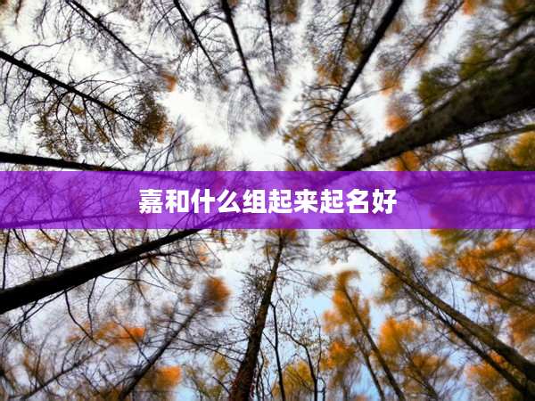 2嘉和什么組起來起名好