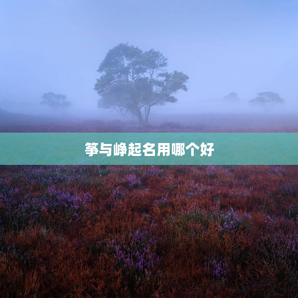 箏與崢起名用哪個好