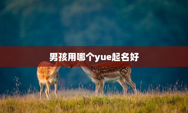男孩用哪個yue起名好