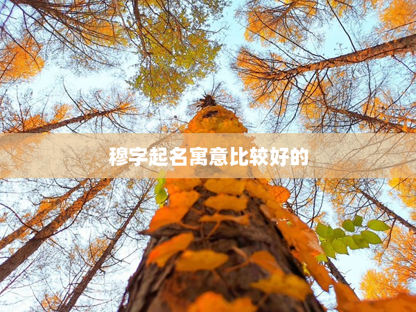 2穆字起名寓意比較好的