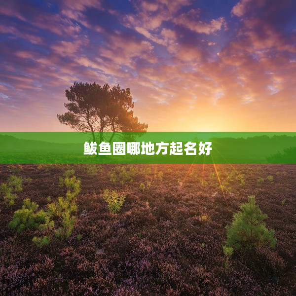鲅魚圈哪地方起名好