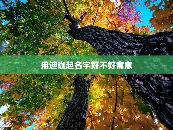 2用迪珈起名字好不好寓意
