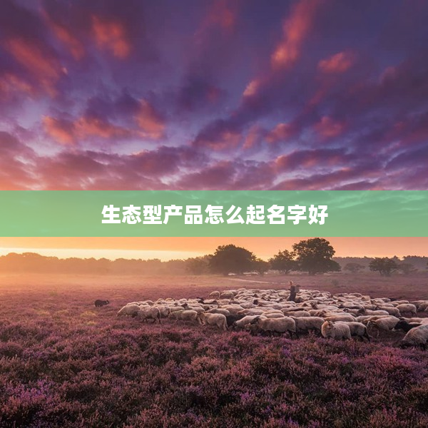 2生態(tài)型產(chǎn)品怎么起名字好