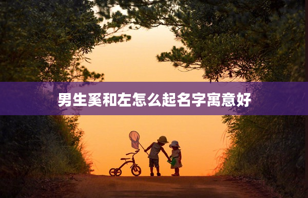 2男生奚和左怎么起名字寓意好