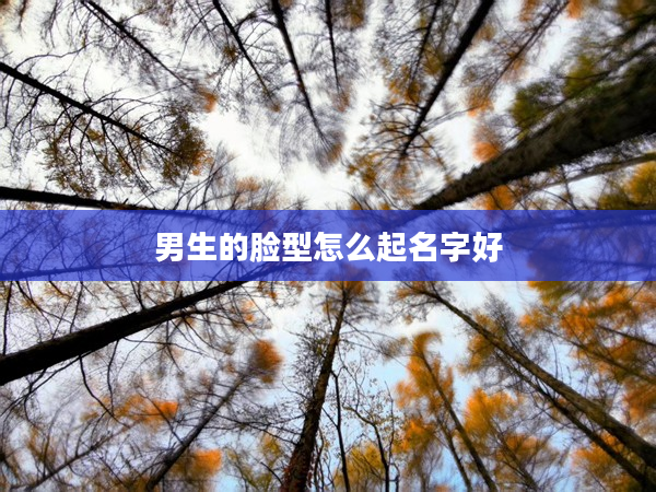 2男生的臉型怎么起名字好