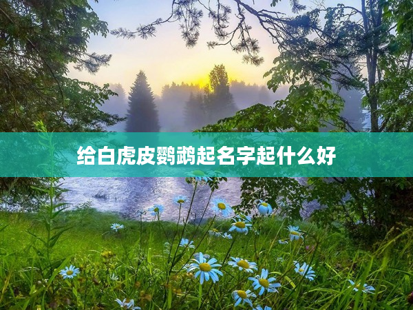 2給白虎皮鸚鵡起名字起什么好