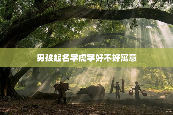 2男孩起名字虎字好不好寓意