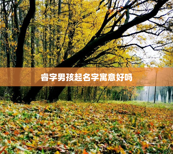 睿字男孩起名字寓意好嗎