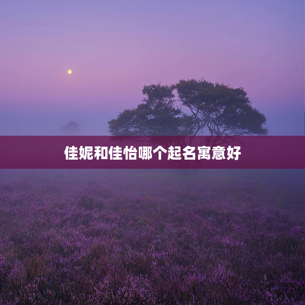 2佳妮和佳怡哪個起名寓意好