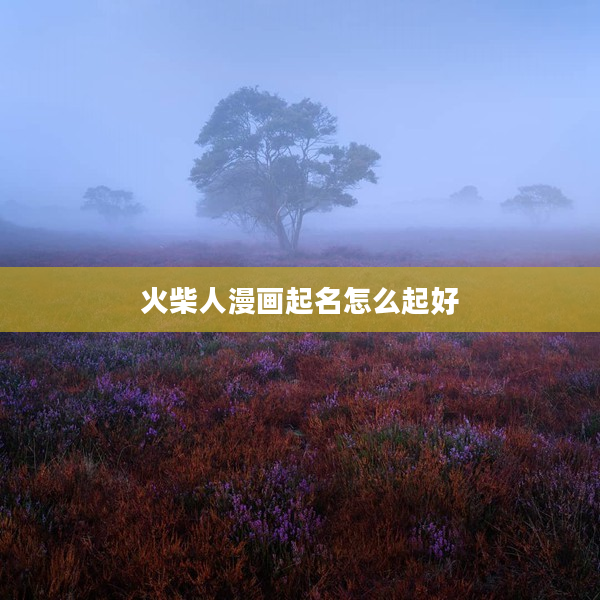 2火柴人漫畫起名怎么起好