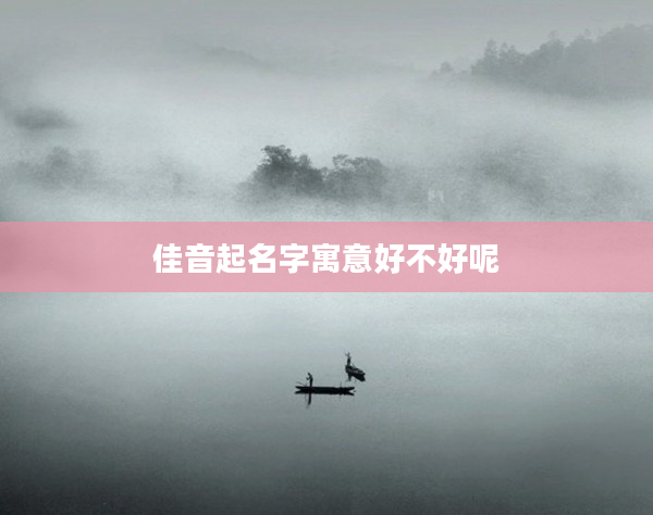 2佳音起名字寓意好不好呢
