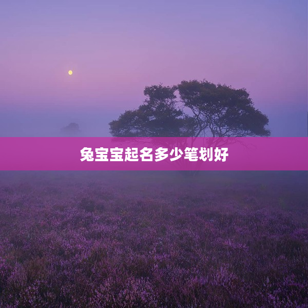 2兔寶寶起名多少筆劃好