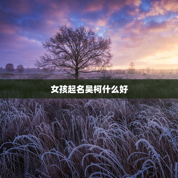 2女孩起名吳柯什么好