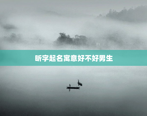 昕字起名寓意好不好男生