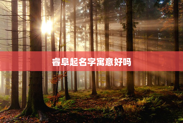 睿阜起名字寓意好嗎