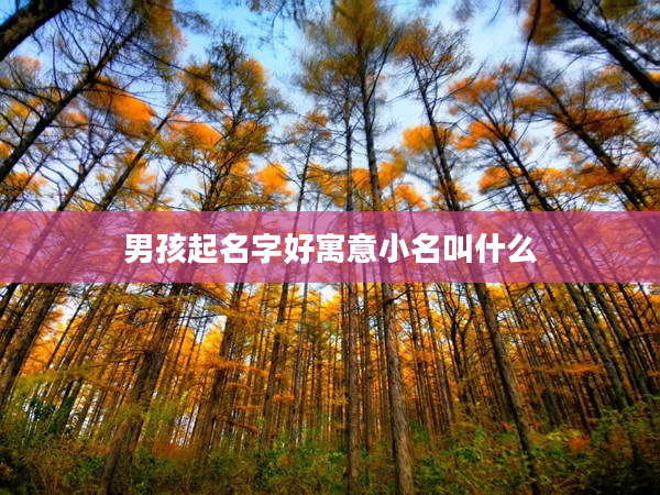 2男孩起名字好寓意小名叫什么