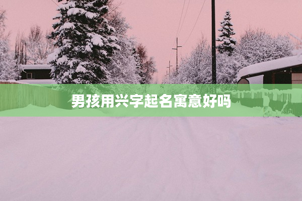 2男孩用興字起名寓意好嗎