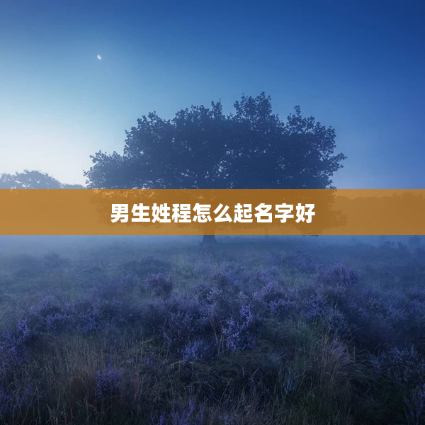 2男生姓程怎么起名字好