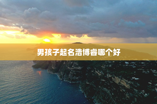 2男孩子起名浩博睿哪個好