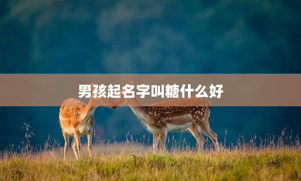 2男孩起名字叫糖什么好