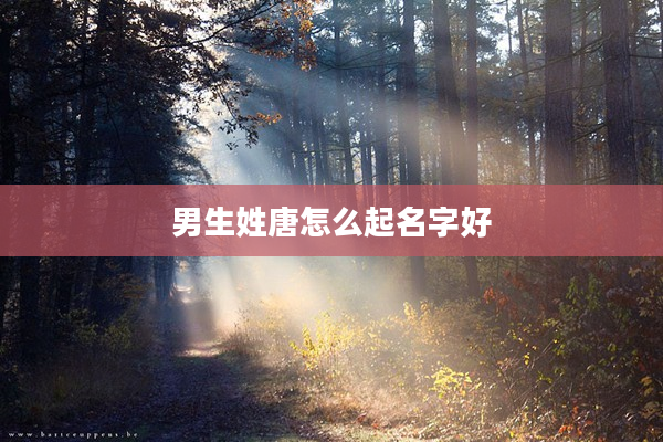 2男生姓唐怎么起名字好