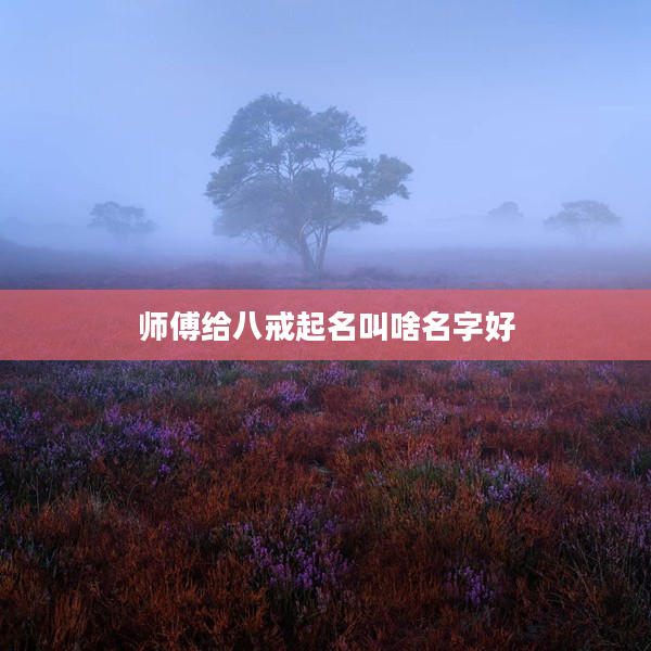 2師傅給八戒起名叫啥名字好