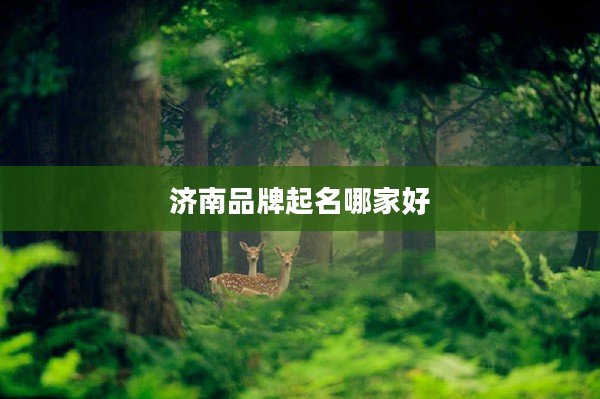 2濟南品牌起名哪家好