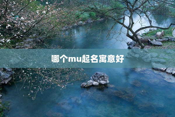 2哪個mu起名寓意好