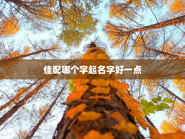 2佳配哪個字起名字好一點