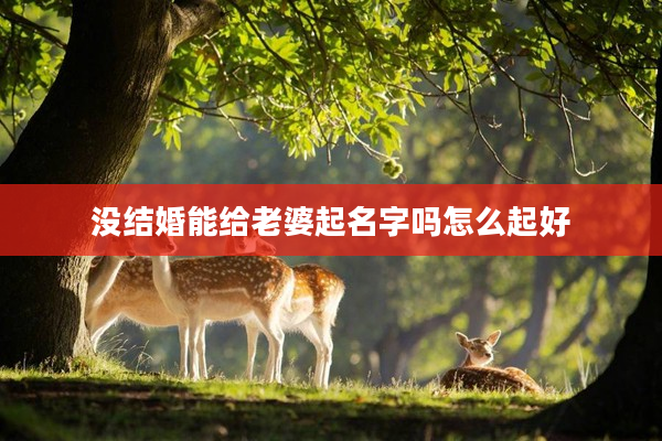 沒結婚能給老婆起名字嗎怎么起好