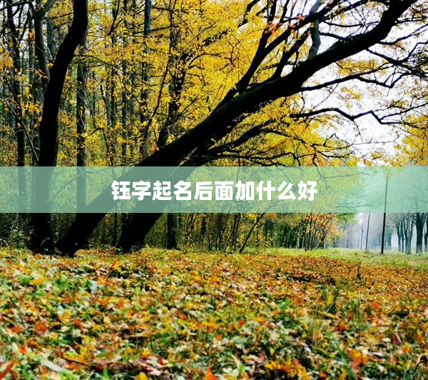 鈺字起名后面加什么好