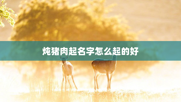 燉豬肉起名字怎么起的好