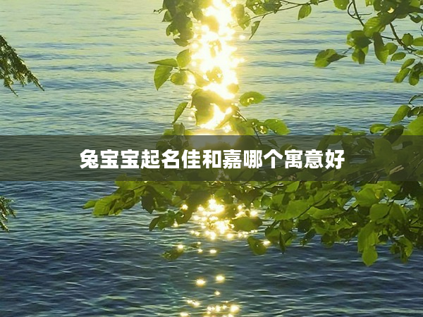 2兔寶寶起名佳和嘉哪個寓意好