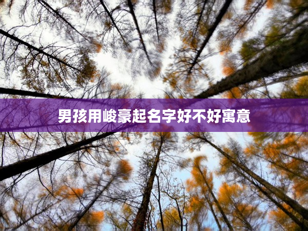 2男孩用峻豪起名字好不好寓意
