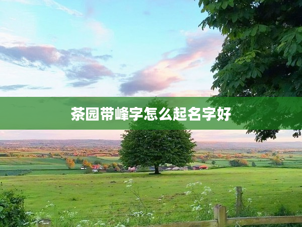2茶園帶峰字怎么起名字好